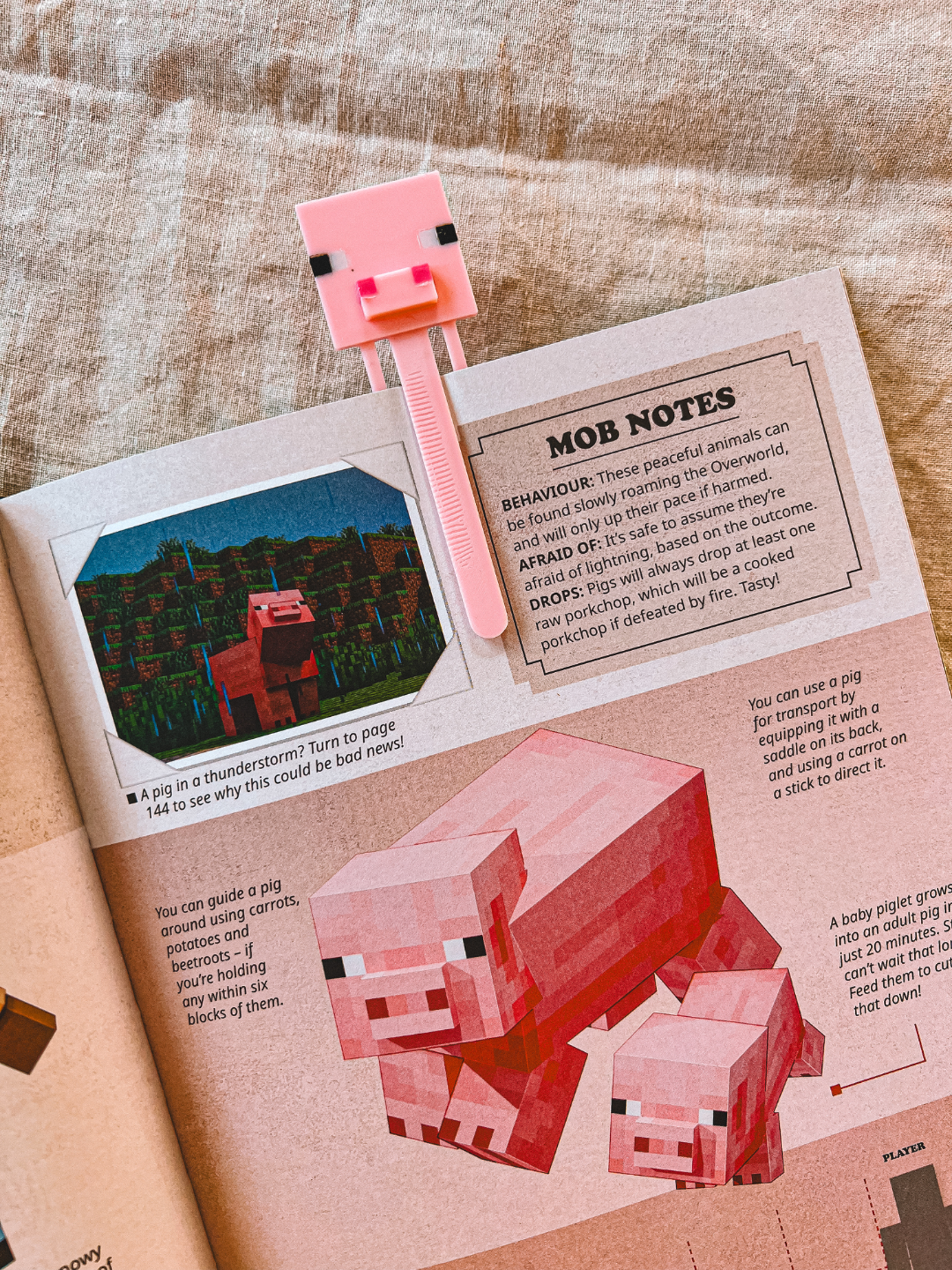 Minecraft Bookmark set